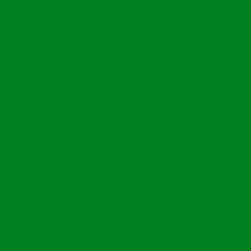 Dunkelgrüner einfarbiger Hintergrund für Fotokabine S3