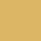 Einfarbiger Hintergrund Gold Fotostudio Hintergrund SC17