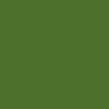 Einfarbiger moosgrüner Hintergrund für Fotostudio SC27
