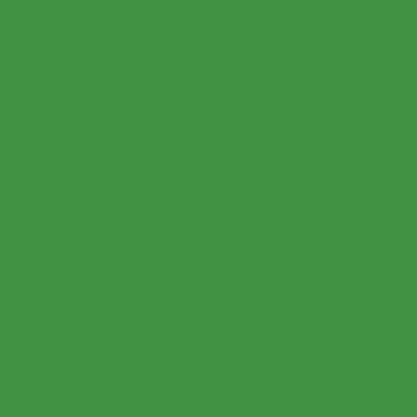 Grüner einfarbiger Fotografie-Hintergrund für Fotostudio SC28