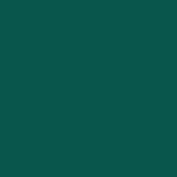 Dunkelgrüner einfarbiger grüner Hintergrund für Fotografie SC30