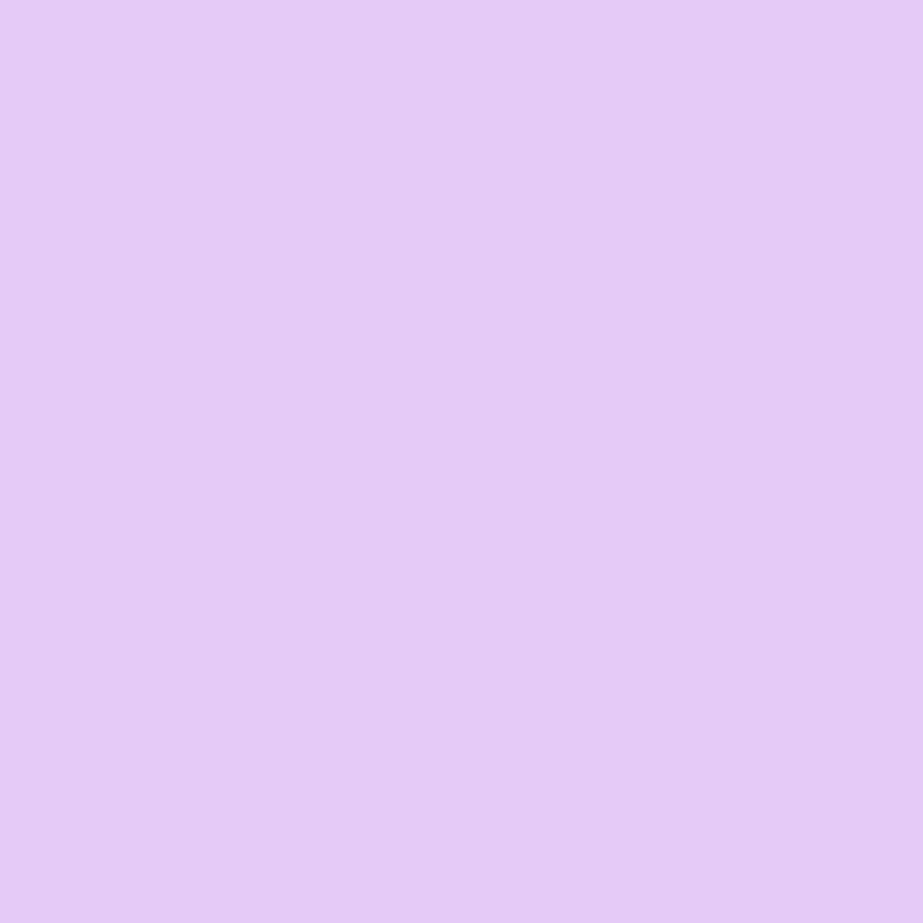Einfarbiger lila Bildschirmhintergrund für Fotografie SC48