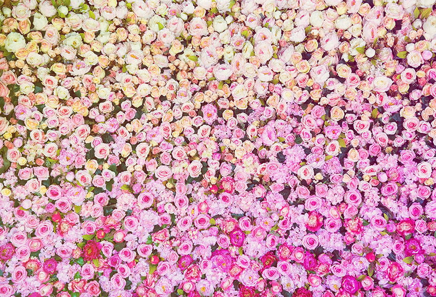 Rosen-Cluster-Blumen-Fotografie-Hintergrund SH-1004