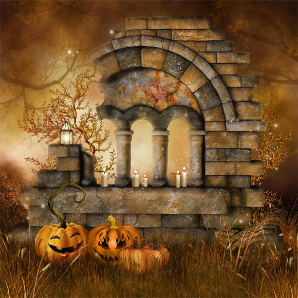 Halloween-Kürbis-Wiesen-Fotografie-Hintergrund SH-1032