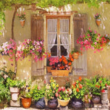Schöne Blumen-Fenster-Foto-Hintergrund SH-808