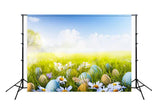 Easter Photography Backdrop Spring Flowers Green Grass Easter Eggs Background SH024
