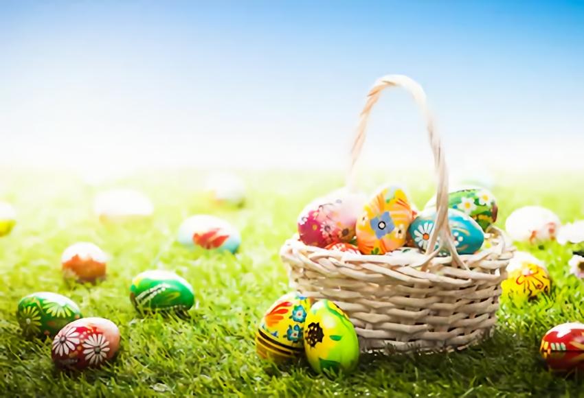 Easter Decorations Spring Grass Easter Eggs Backdrop for Photos SH046