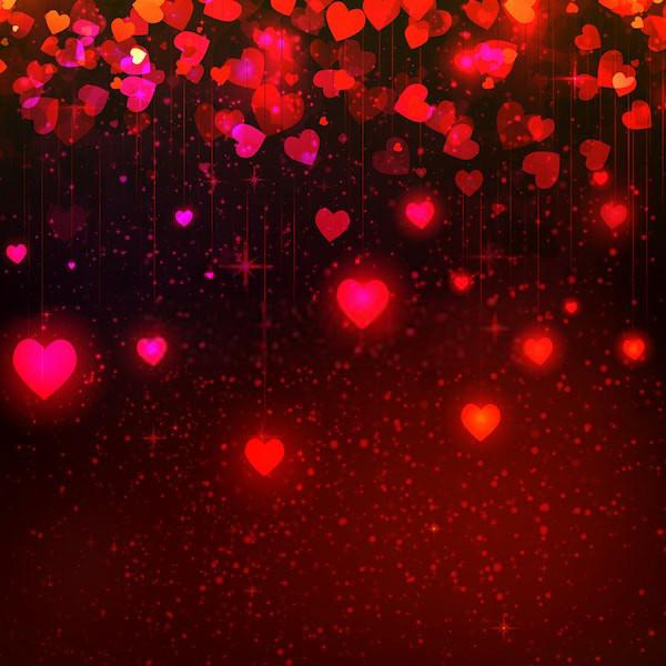 Red Hearts Sparkle Elengant Backdrop for Valentine Photos SH579