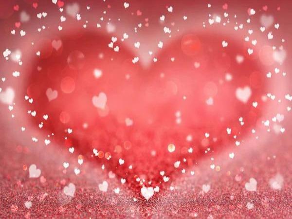Love Hearts Valentine's Day Photo Wood Backdrop SH590