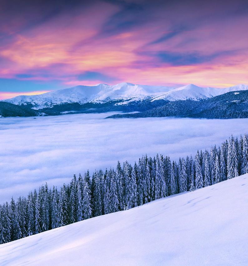 Snow-covered Valley Mountain Forest Christmas Background