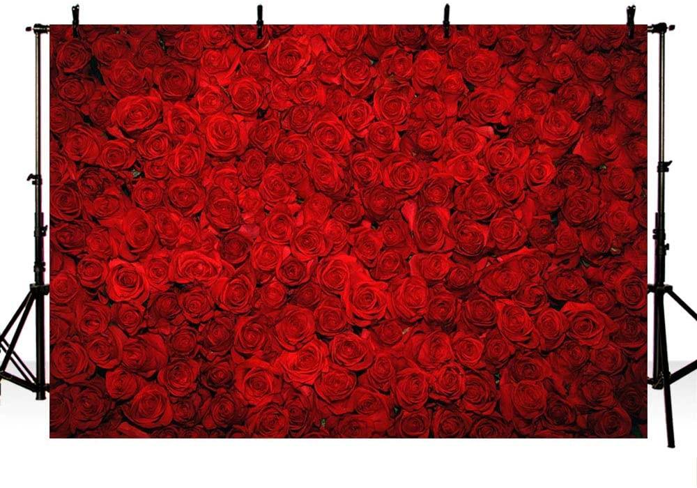 Red Rose Photo Background for Valentine's Day Decorations VAT-42