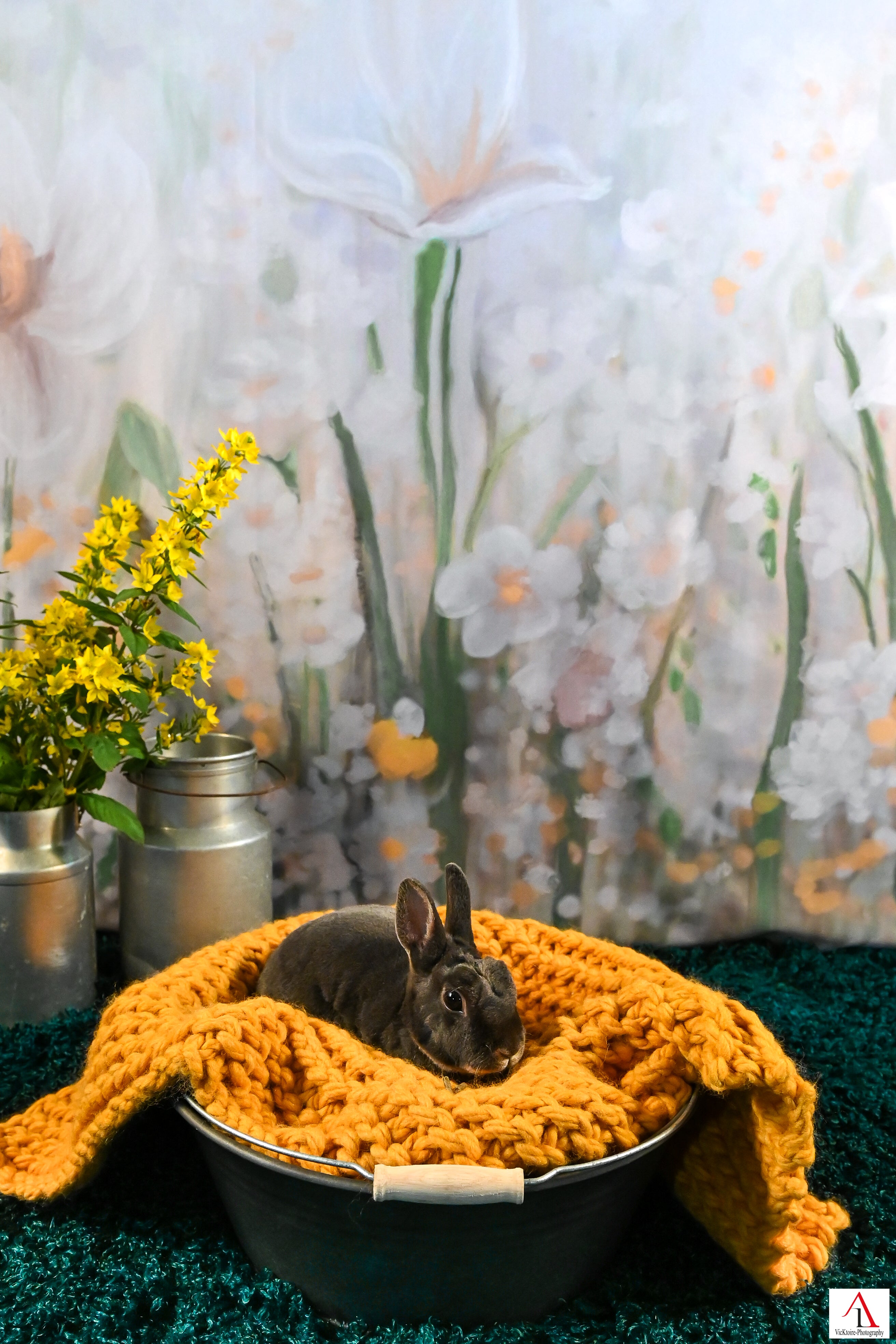 Gänseblümchen Ölgemälde Hintergrund Eleganter Blumen Hintergrund für Fotografie ZH-279