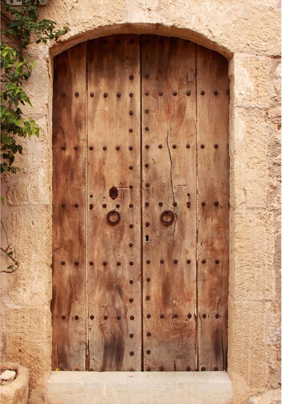 Brown Vintage Wooden Door Photography  Backdrop ZH-53