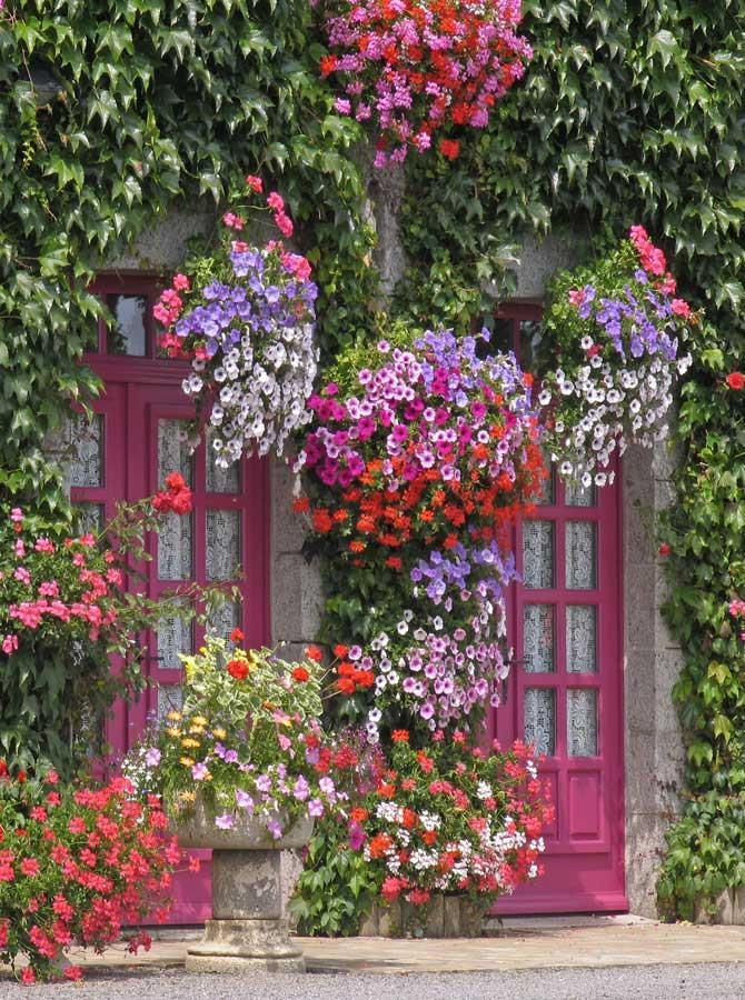 Spring Colorful Flowers Around Window Backdrop for Photography