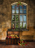 Christmas Gift Box Window Xmas Tree Decor Photography Backdrop