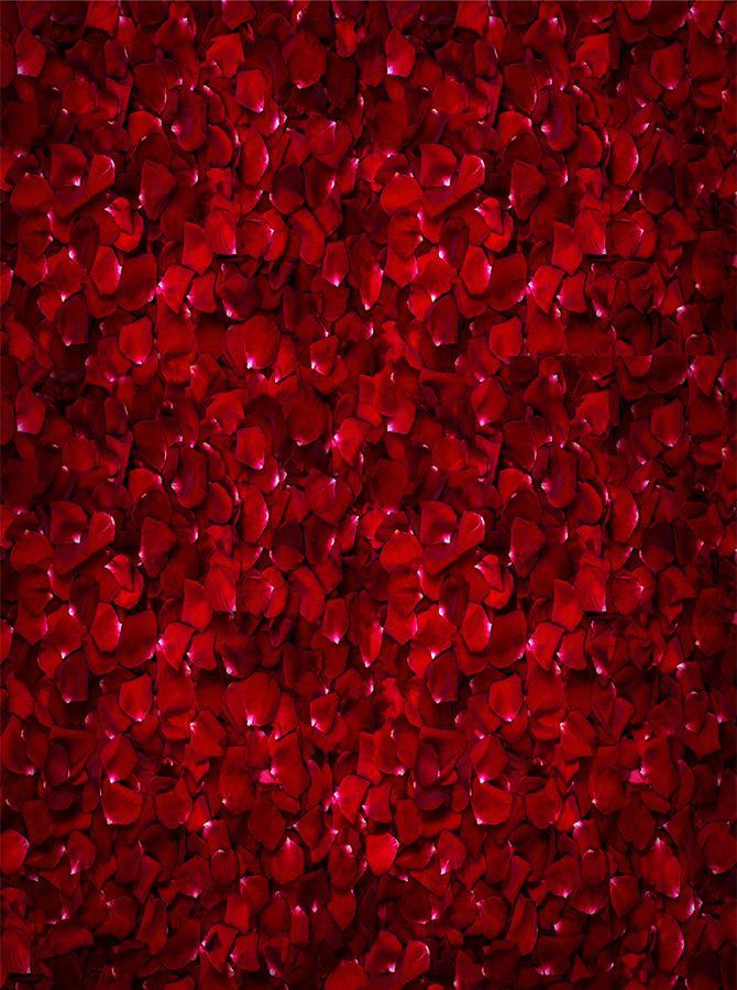 Rote Rosenblätter Kulisse für Studio Fotoshooting KAT-69
