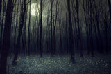 Halloween-Hintergründe Festival-Hintergründe Mattes weißes Mondlicht-dunkler Wald-Hintergrund DBD-H19022