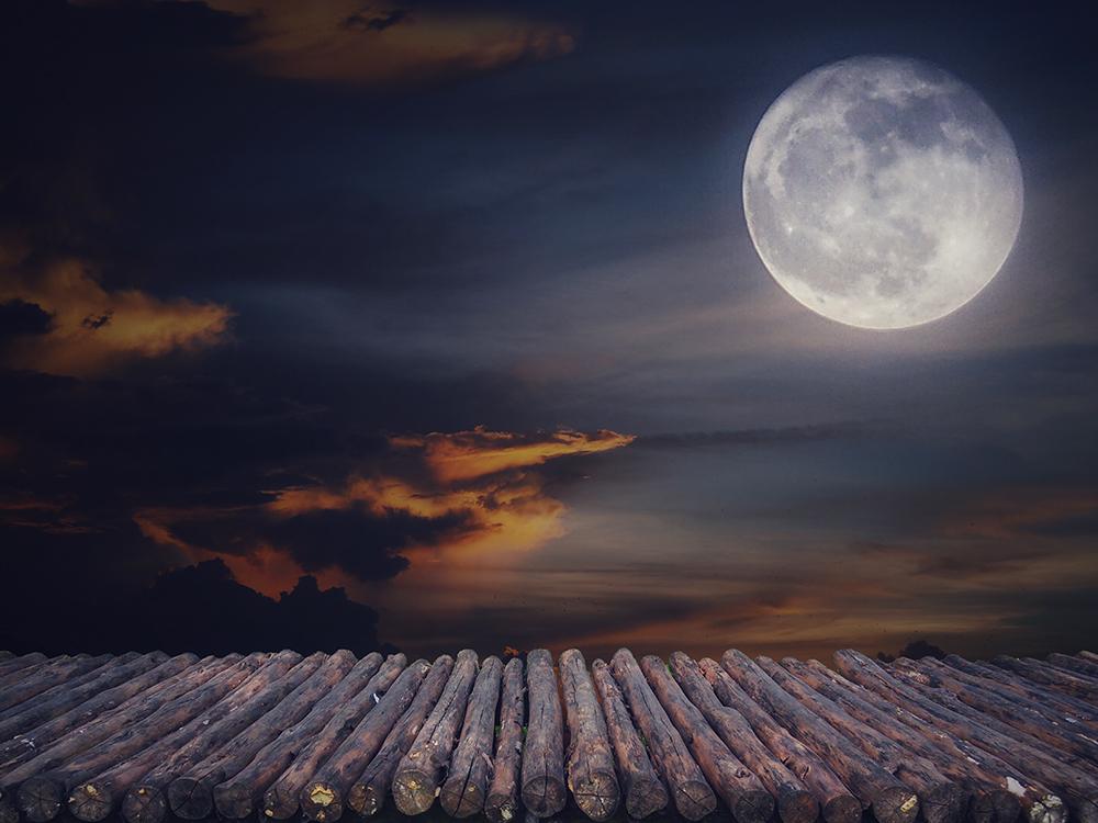 Halloween Backdrops Festival Backdrops Night Moon