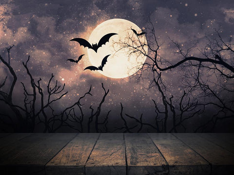 Halloween Backdrops Festival Backdrops Night Background Moon and Bats Background