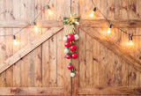 Wooden Barn Door with Lights Backdrop for Photography LV-1039