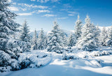 Winter Snowy Forest White Cloud Blue Sky Scenery Photography Backdrop