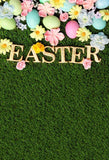 Easter Decorations Background Easter Eggs Spring Flowers Green Grass Backdrop LV-1380