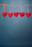 Red Love Heart Blue Backdrop for Photo Studio LV-1465