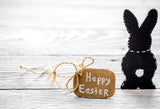 Easter Bunny Backdrop for Happy Easter Decorations LV-1663