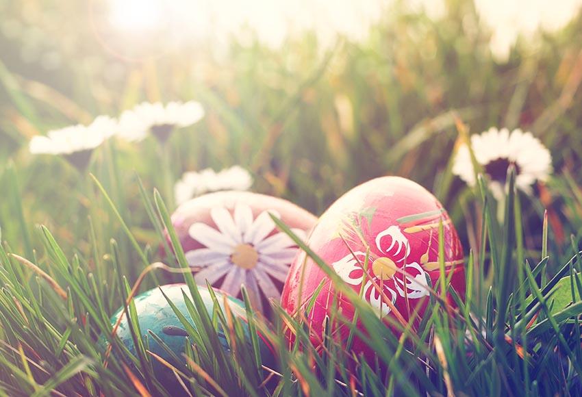 Easter Eggs Spring Grass  Backdrop for Photography LV-1699
