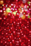 Red Love Heart Valentines Day Photography Backdrop LV-281
