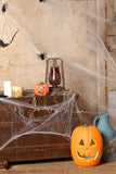 Spider Silk and Few Pumpkins Halloween Backdrops IBD-P19145