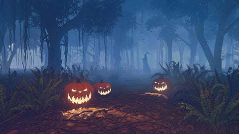 Festival Backdrops Halloween Backdrops Pumpkin Lanterns Death Background