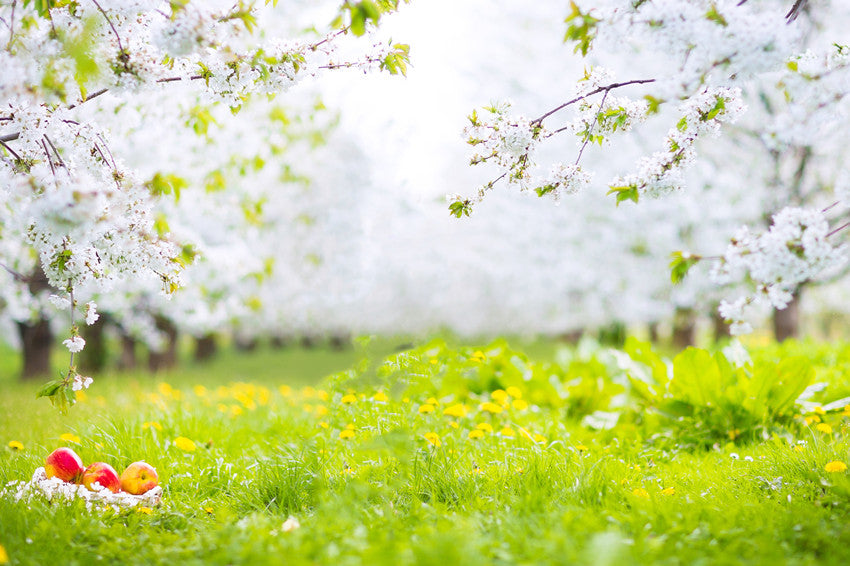 Frühlingsweiß Blumen grünes Gras Fotokabine Hintergrund S-3101