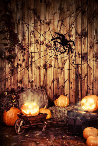 Kürbis Spinnennetz Holzwand-Halloween-Hintergründe für Fotografie DBD-19081